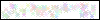 Auth Image